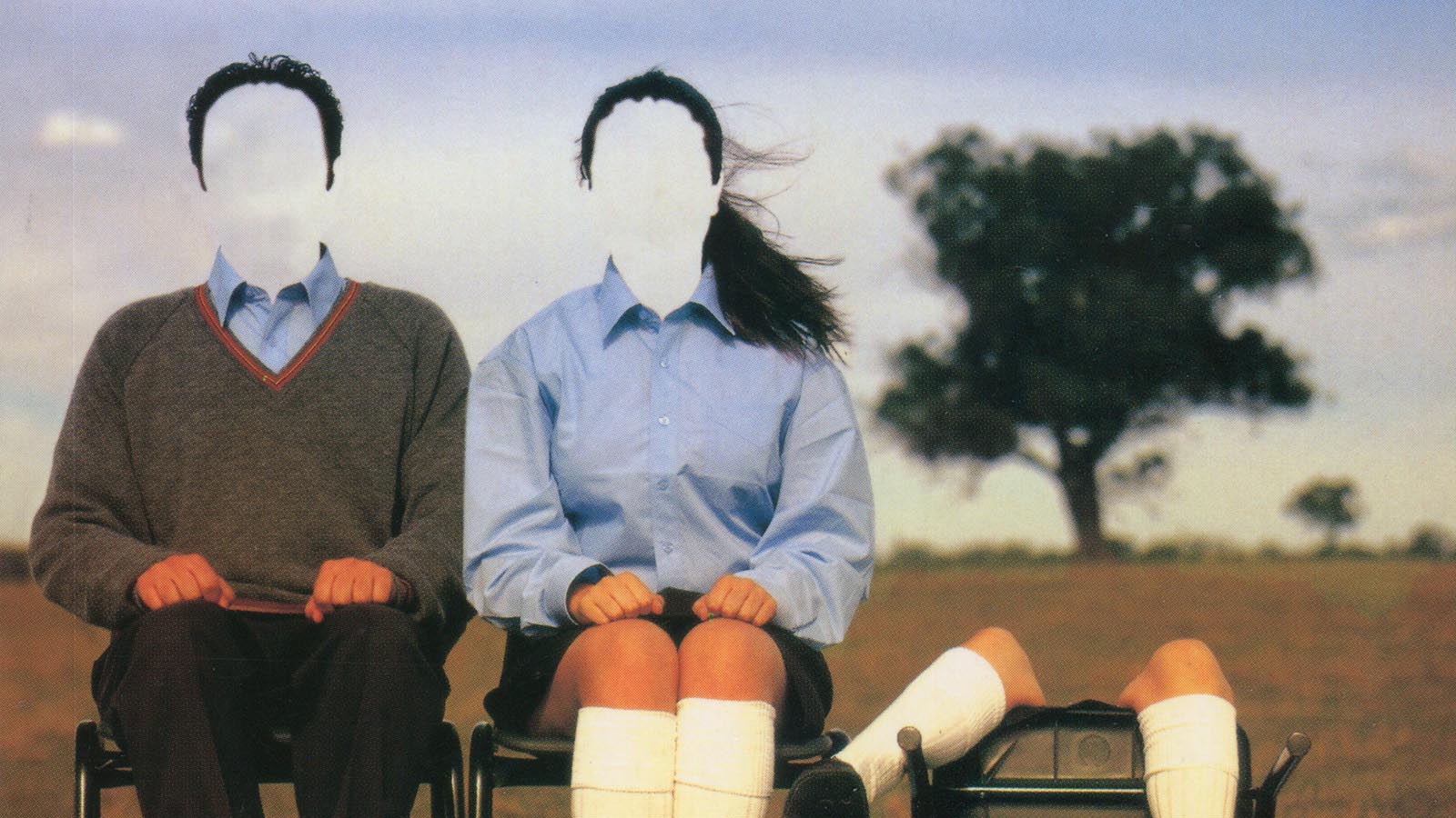 Falling Petals (2003)